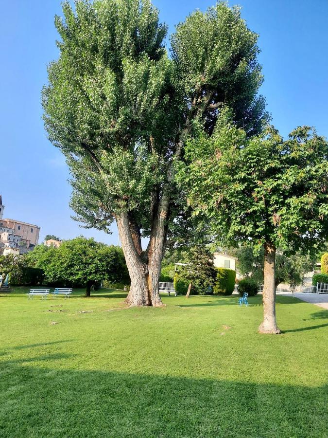 Residenza Palmira Bardolino Apartment Calmasino Exterior photo